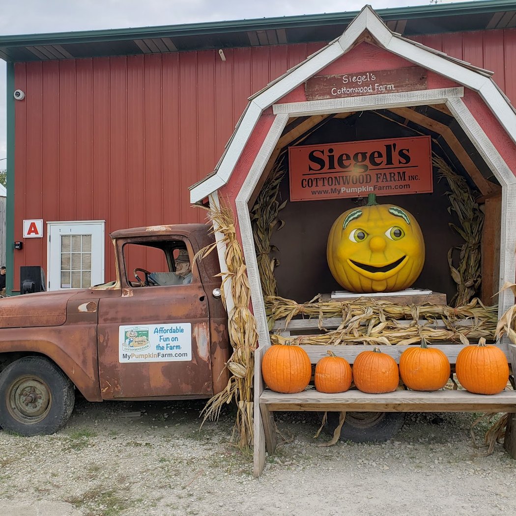 Pumpkin Fest 3