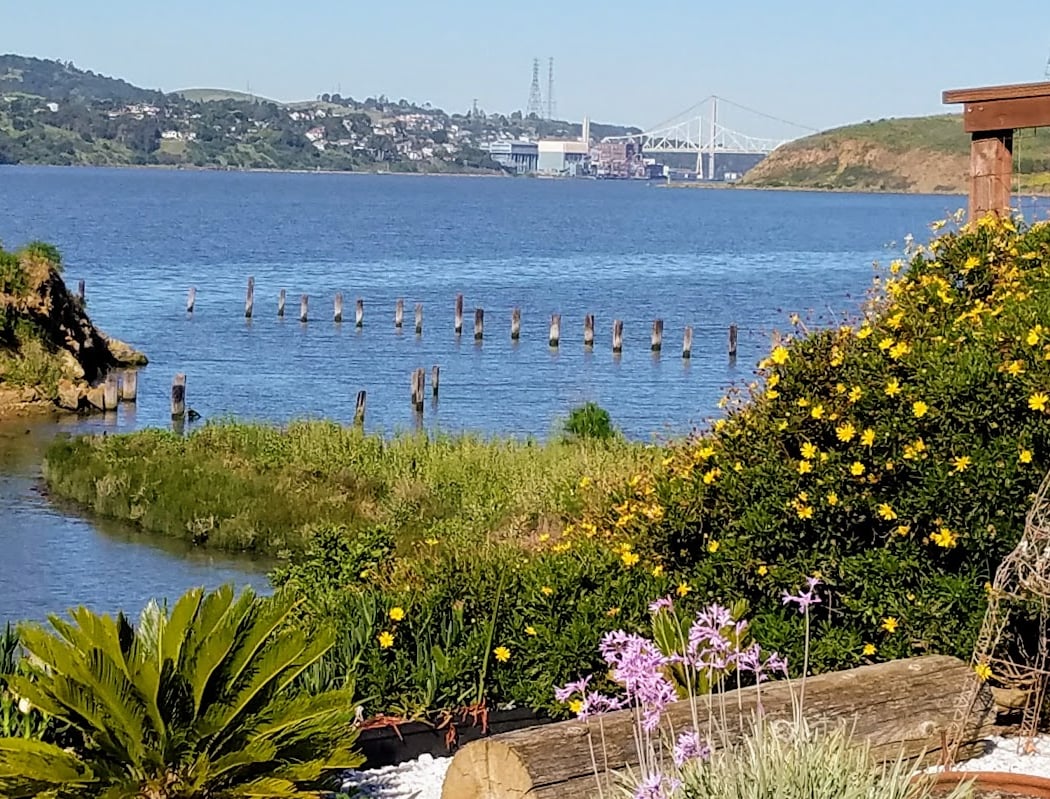 Benicia 1