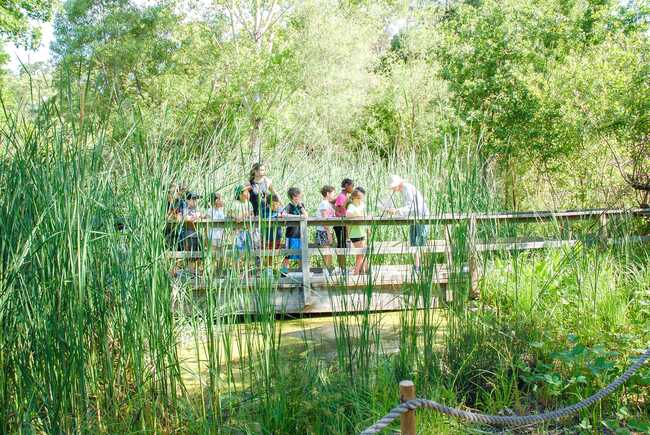 Wagner Ranch Nature Area 3