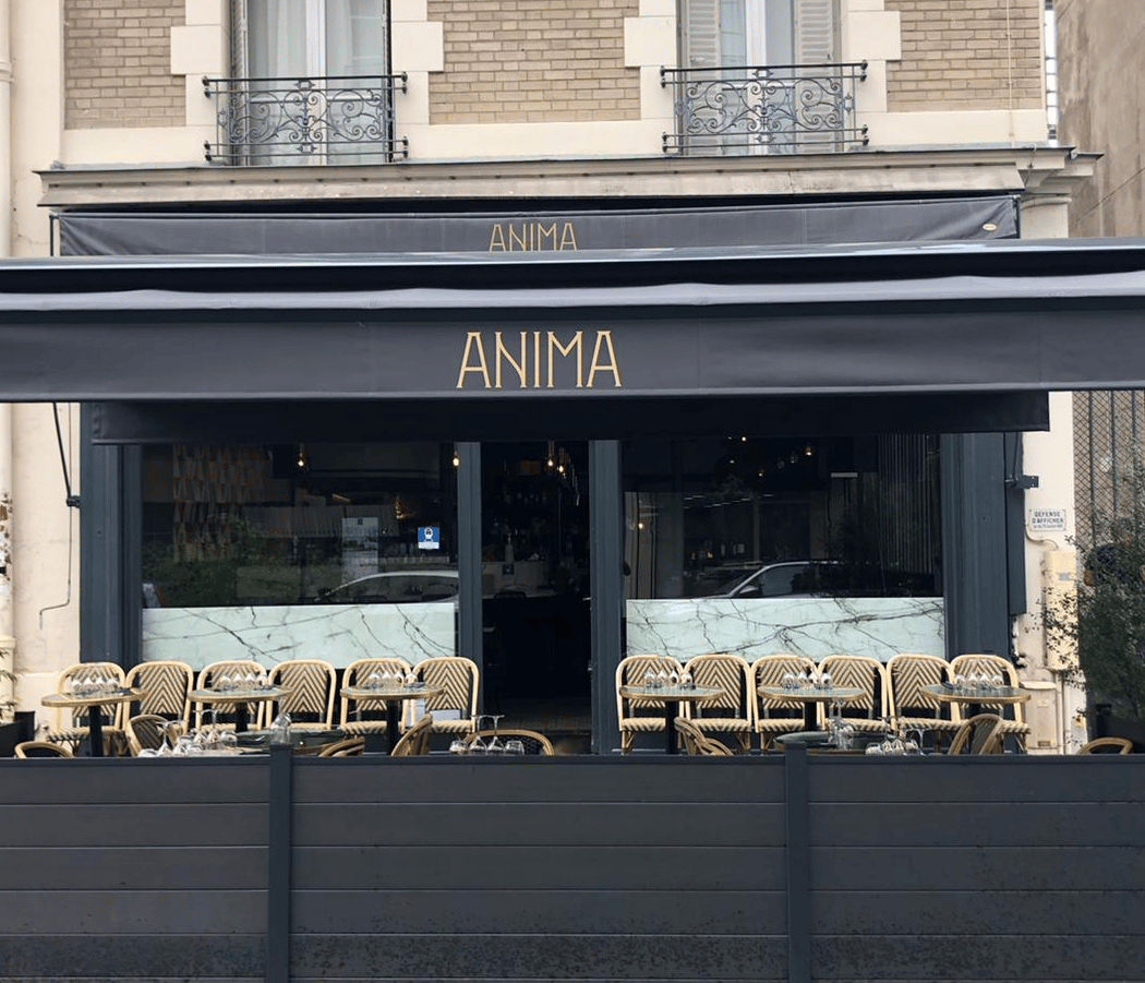 Anima 3