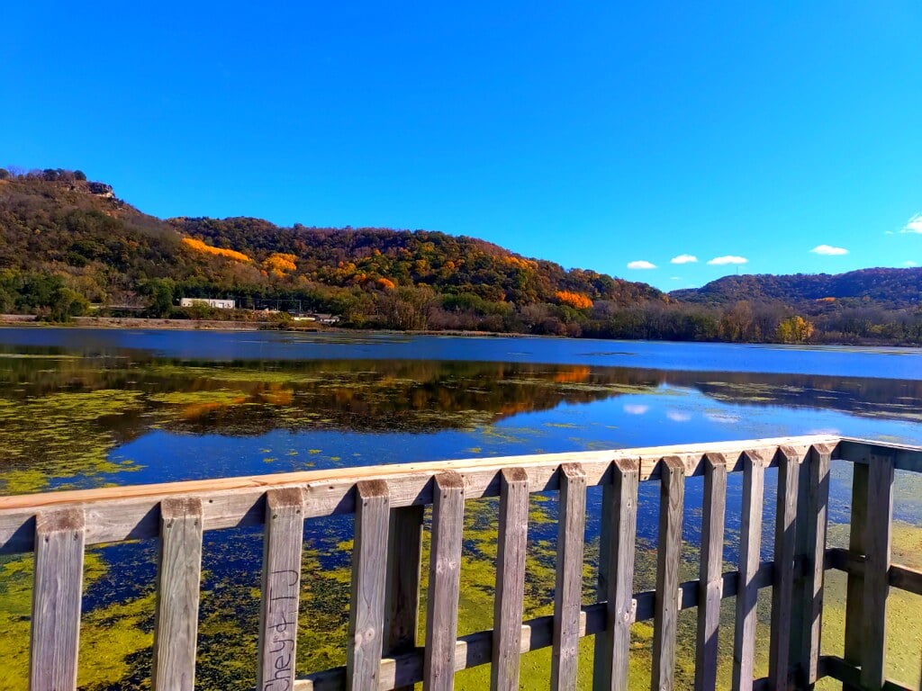 The Nature Place 1