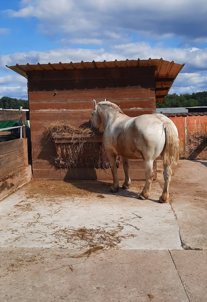 Educational Farm of Ganzau 3