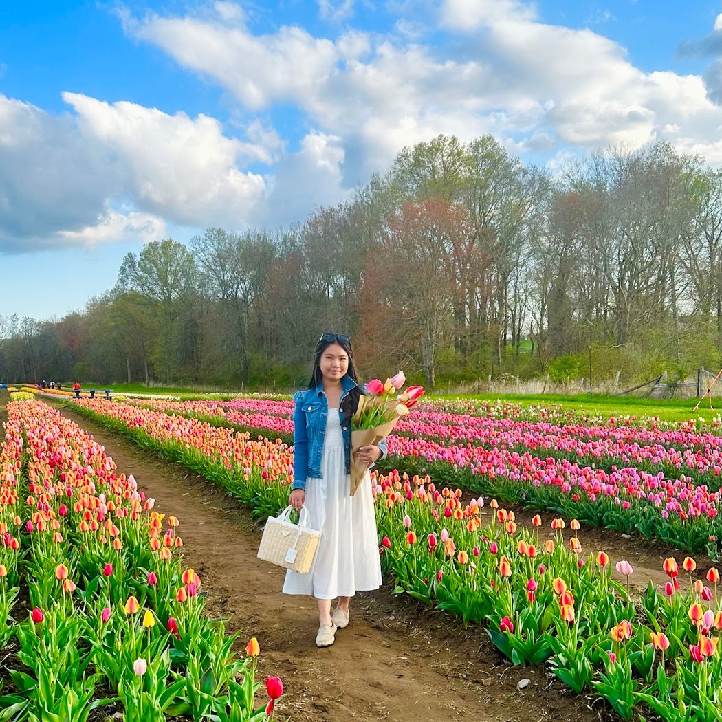 Wicked Tulips - Preston CT 1