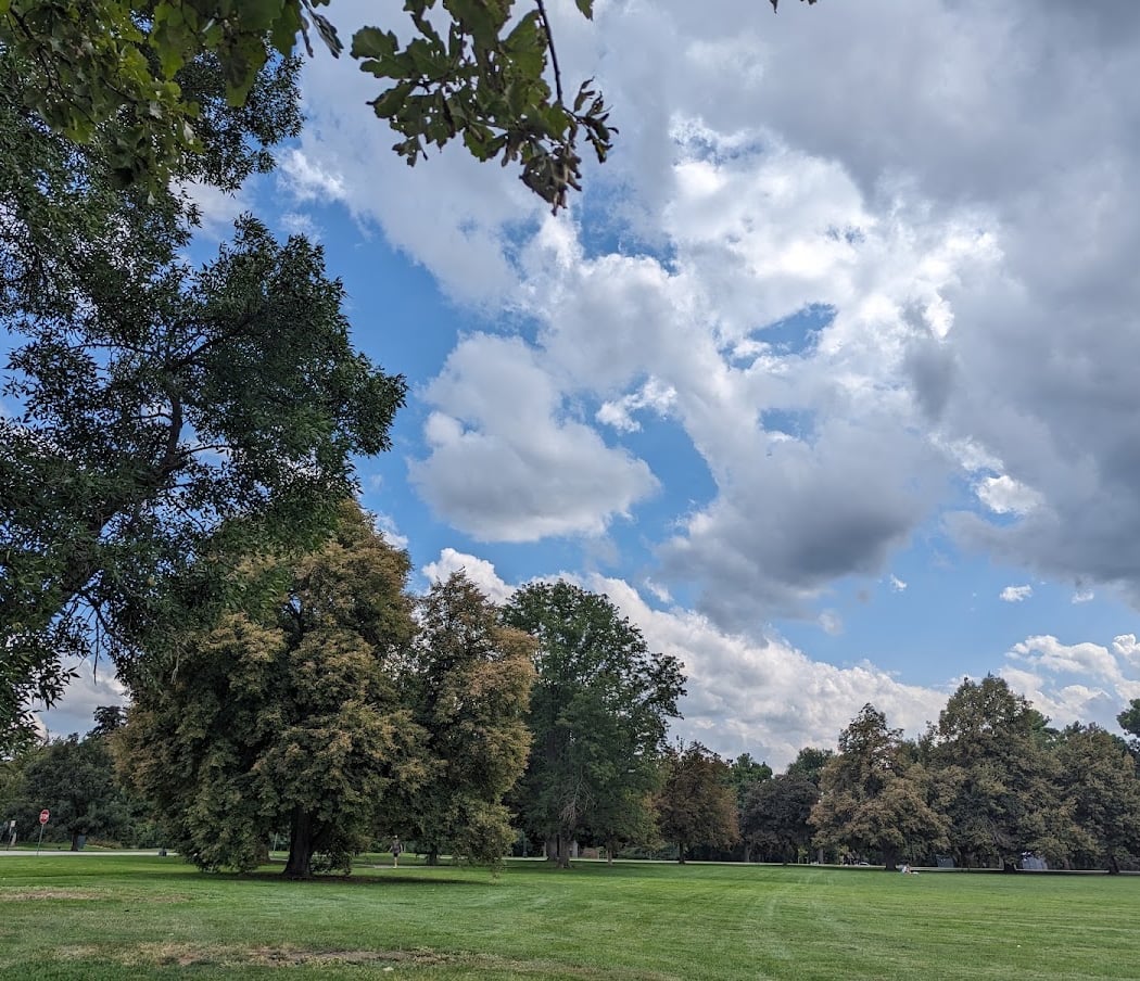 Cheesman Park 2