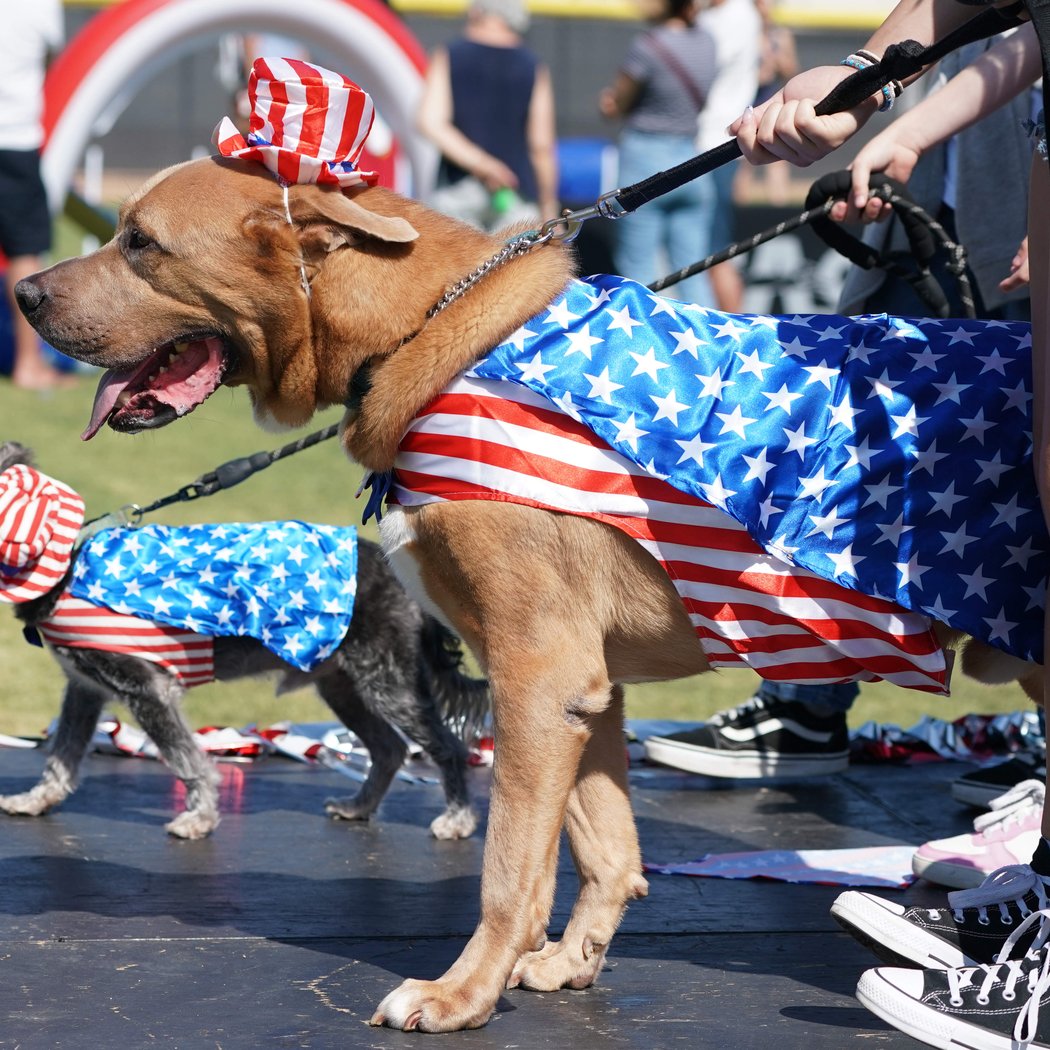 Yankee Doodle Dog Show & Fourth of July Parade 2