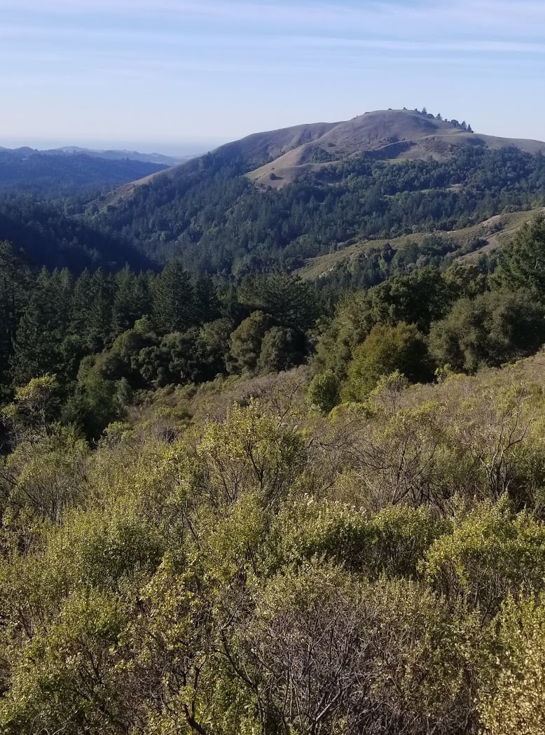 Skyline Ridge Open Space Preserve 3