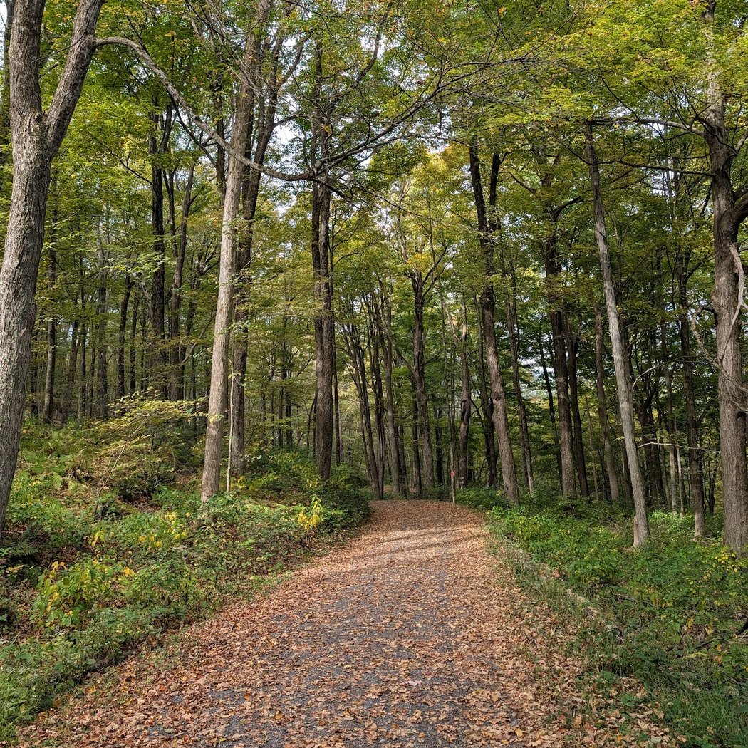 Bonticou Crag 3