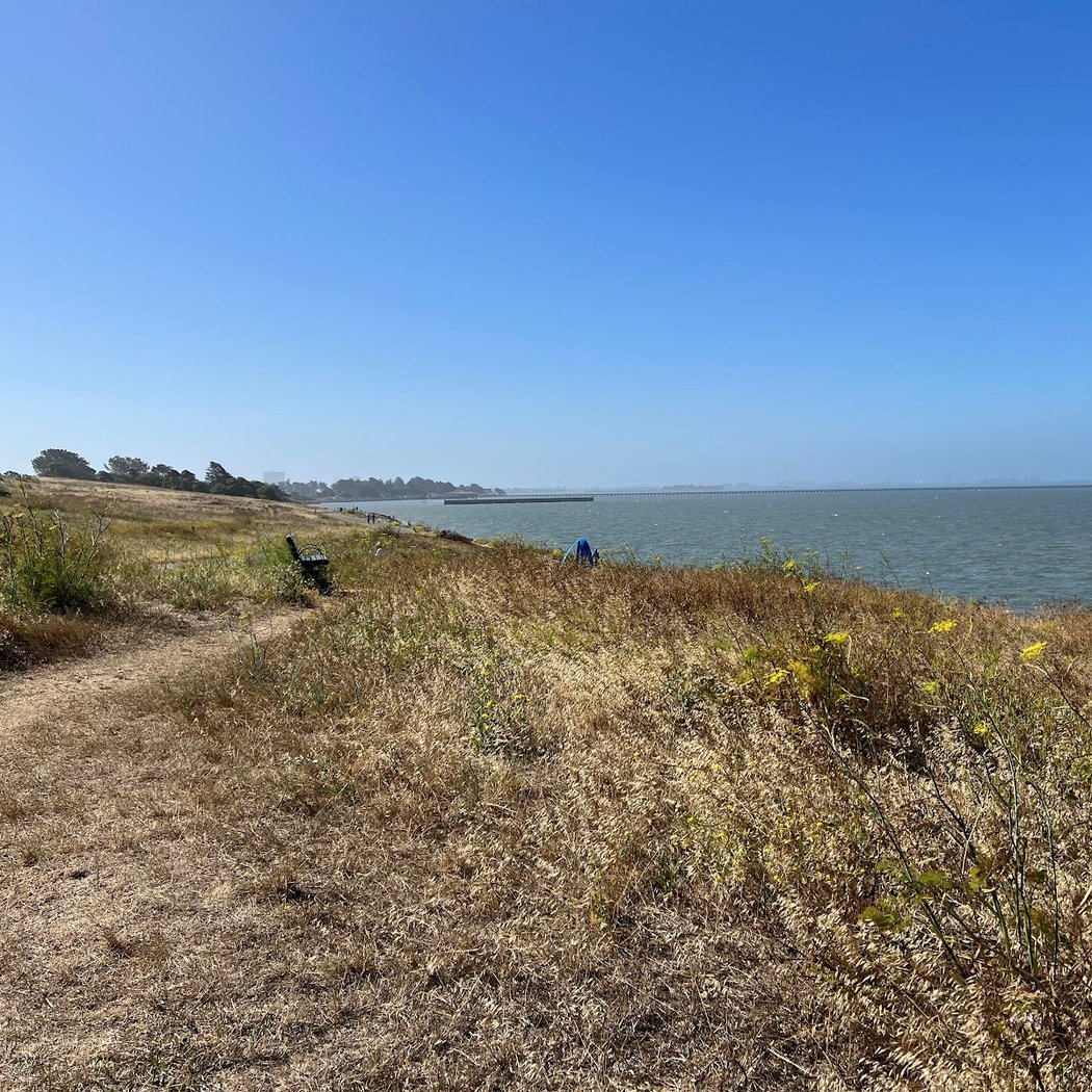 Scenic View 3