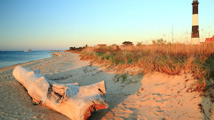Fire Island 4