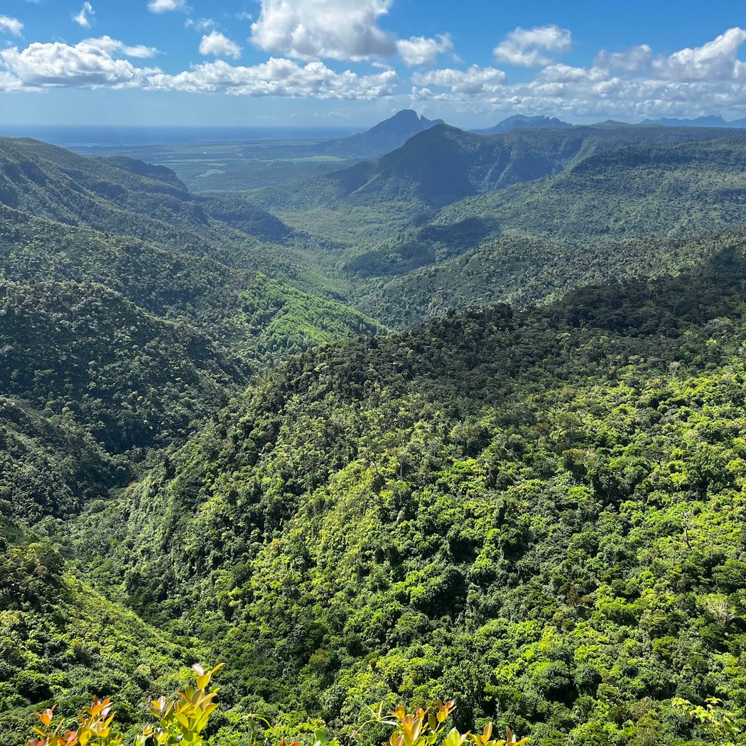 Black River Gorges National Park 1