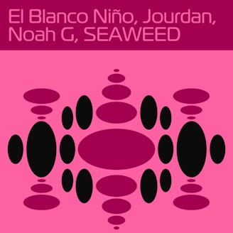 El Blanco Niño, Jourdan, Noah G, Seaweed 1