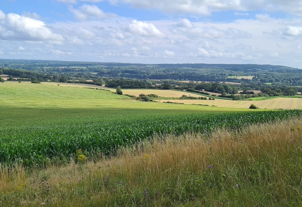 North Downs Way 3