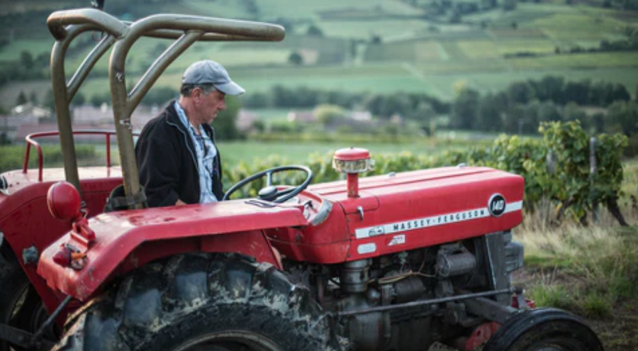 Wines of Burgundy: Coteaux des Margots w/ winemaker Jean-Luc Duroussay 1