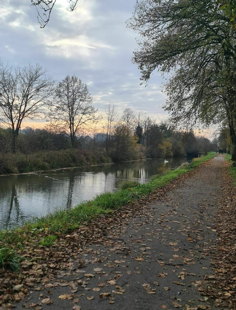 Bois de l'Essart et des Coteaux 1