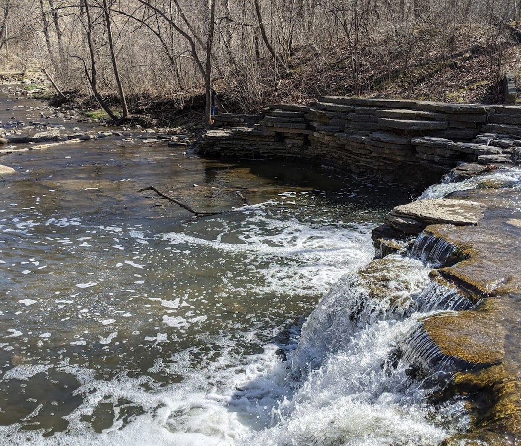 Waterfall Glen Forest Preserve 3