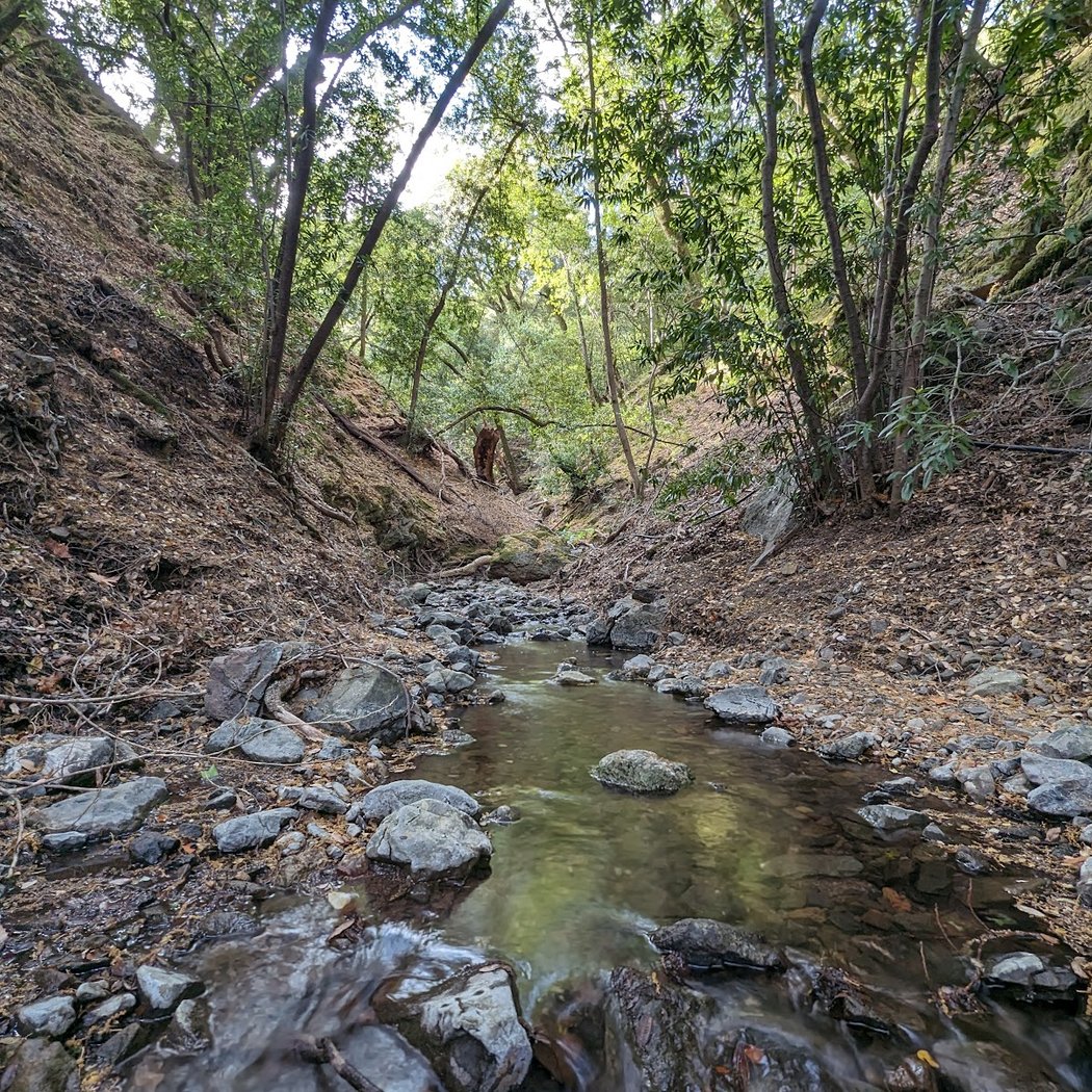 Limekiln Trail, Los Gatos CA 3