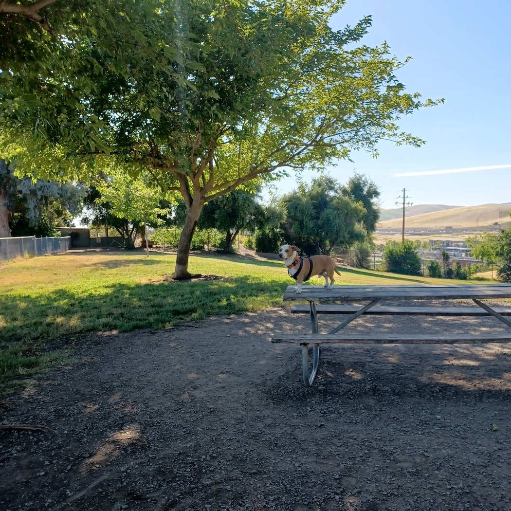 Vista Meadows Park 3