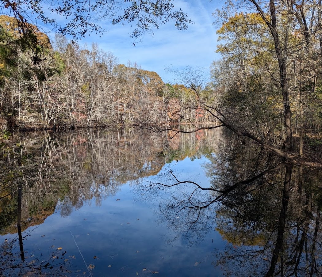 Sherman Branch Nature Preserve 2