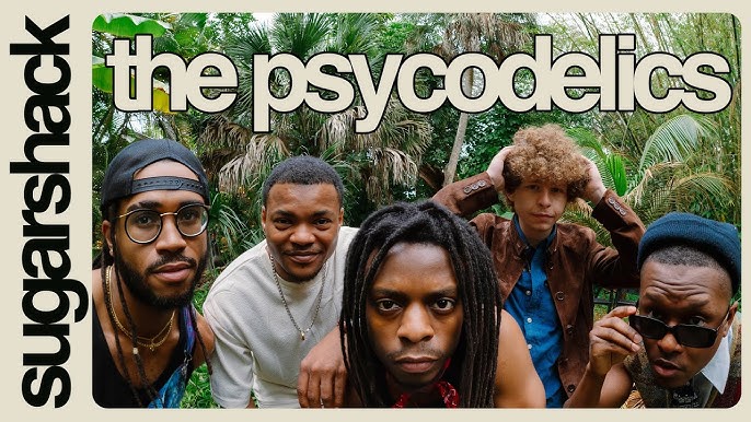 The Psycodelics 4