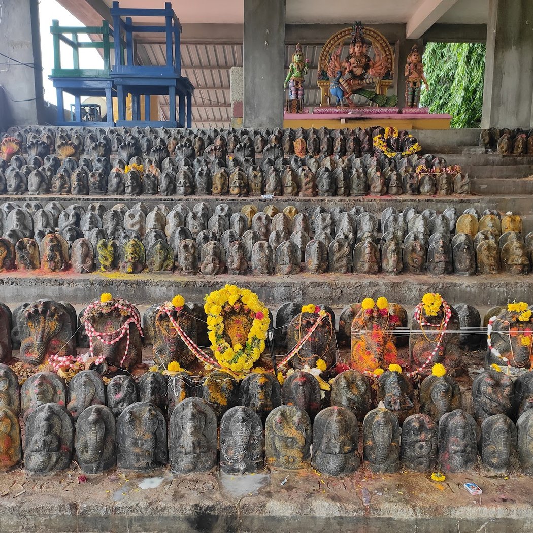 Mukti Naga 3