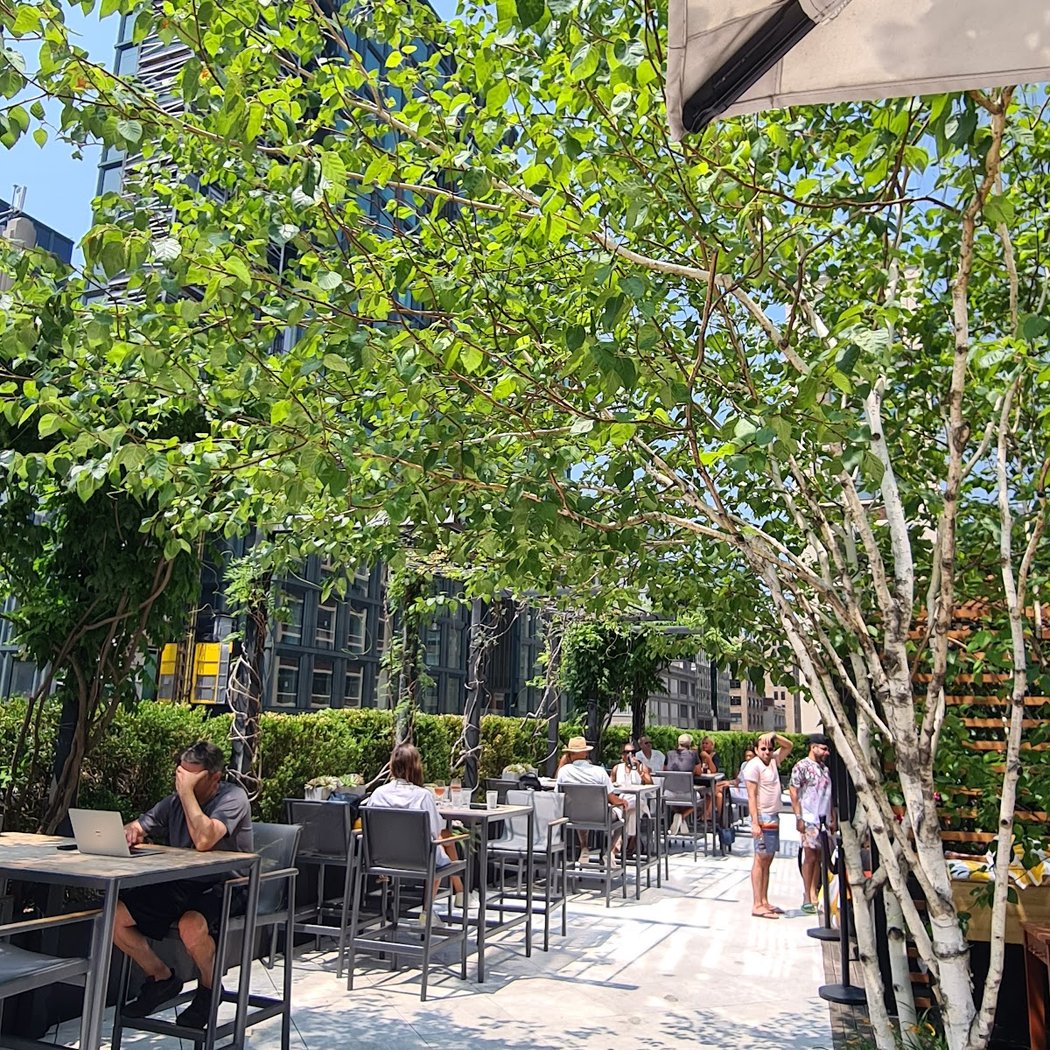 Terrace on 7 5