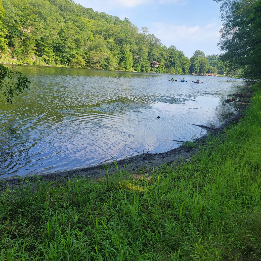 Esopus Bend Nature Preserve 2
