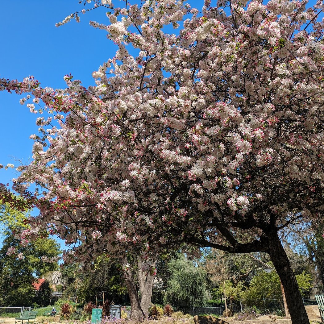 Alamo Creek Park 1