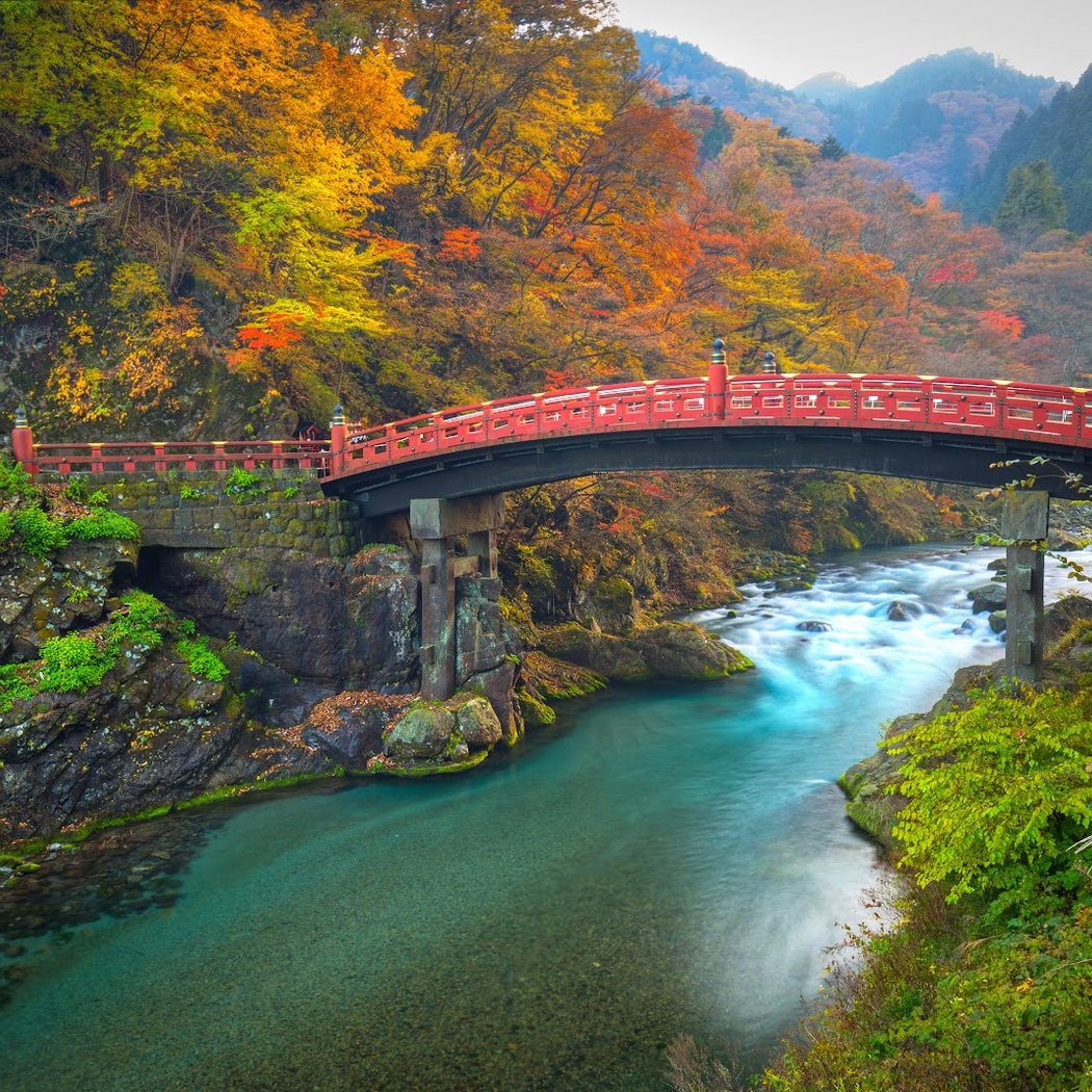 Nikko 1
