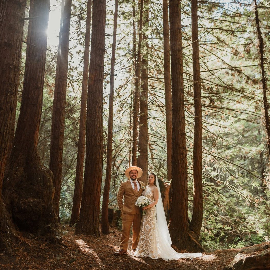 The Forest of Nisene Marks State Park 1