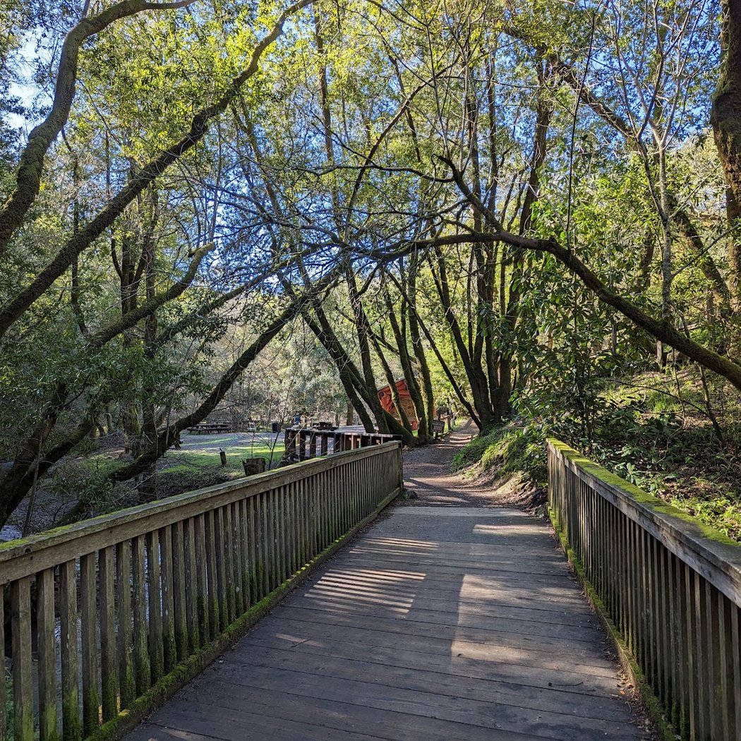 Natalie Coffin Greene Park 1