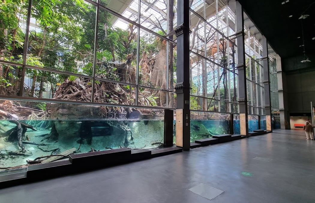 Espacio sensorial «Los peces del Bosque inundado»