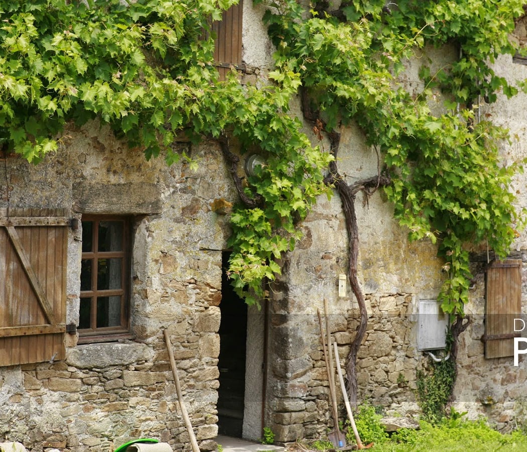Domaine de la Pépière 2