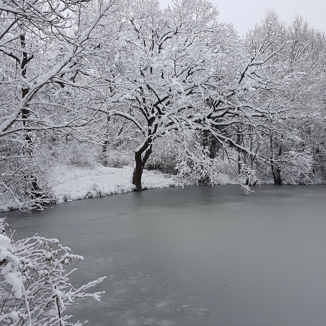 Parc des Friches 1