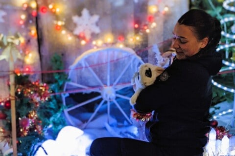 Festiphoto 1