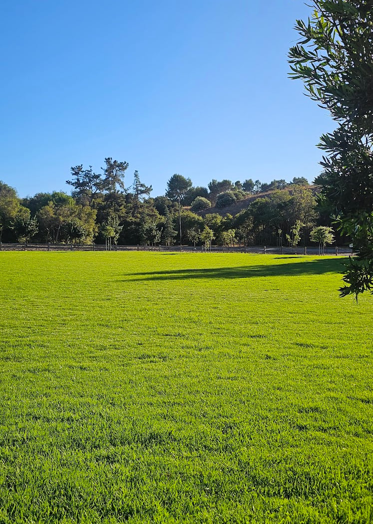 Stanford Hills Park 2