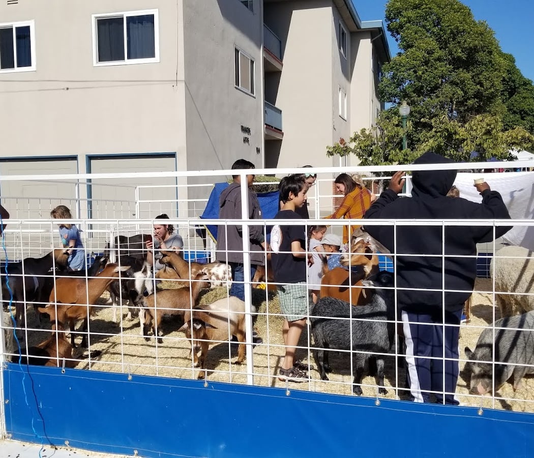 Solano Avenue Association and Stroll 3