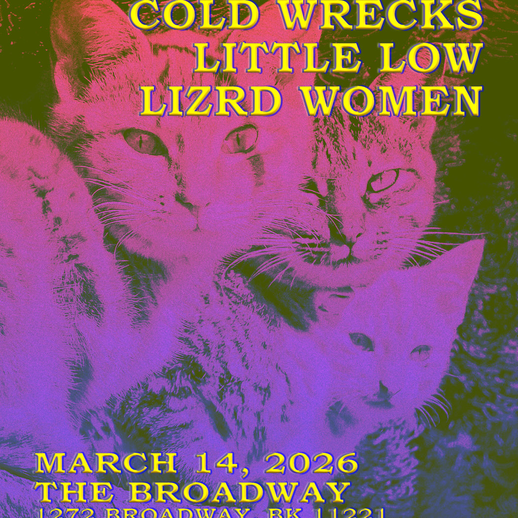 Sadlands, Cold Wrecks, Little Low and Lizrd Women live 1