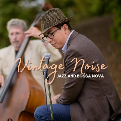 Vintage Noise 1