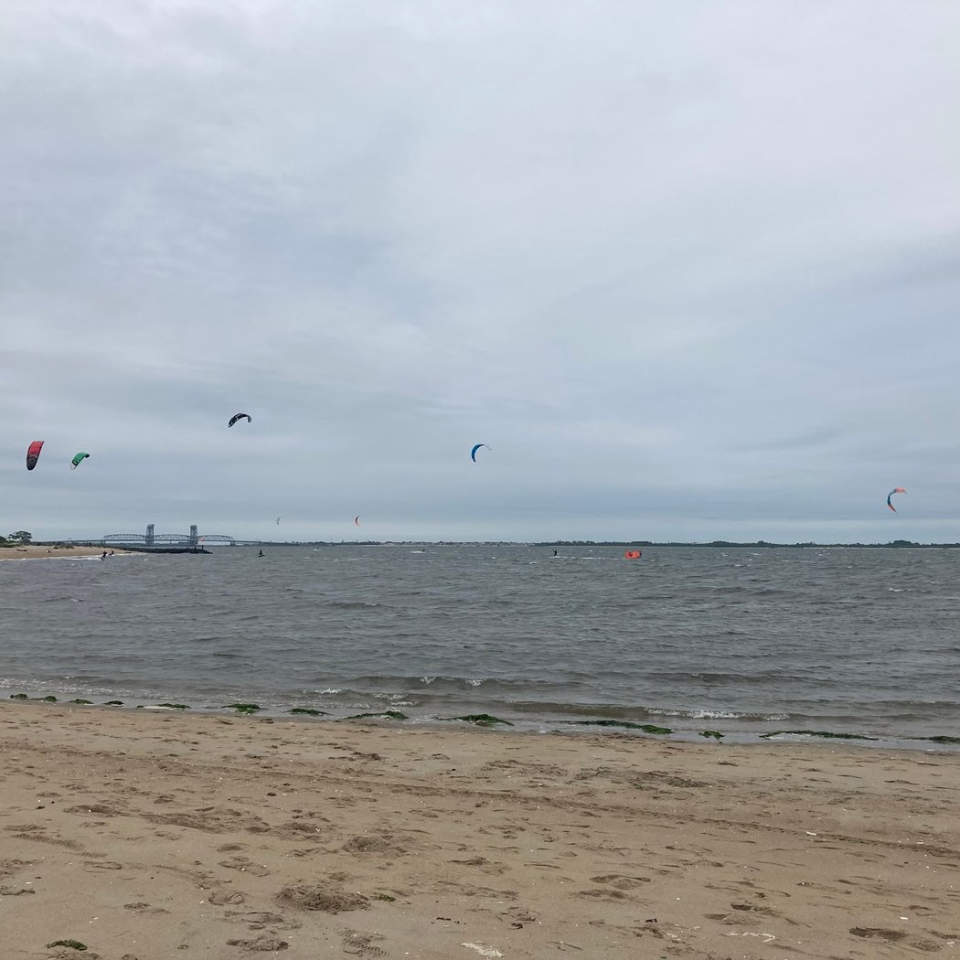 World Ocean’s Day Cleanup 2