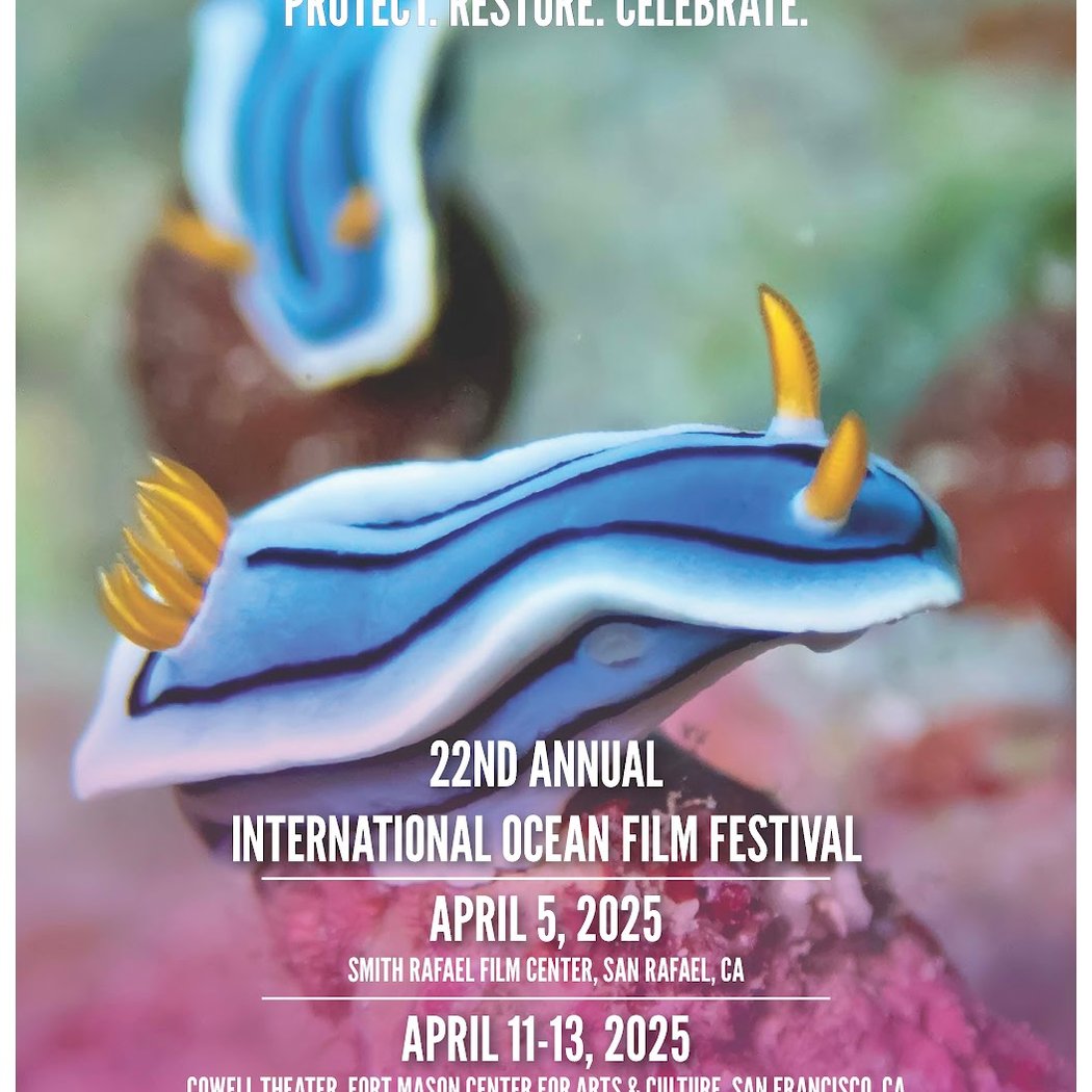 International Ocean Film Foundation 1