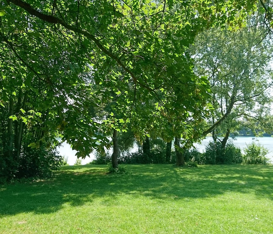 Fasaneriesee 3