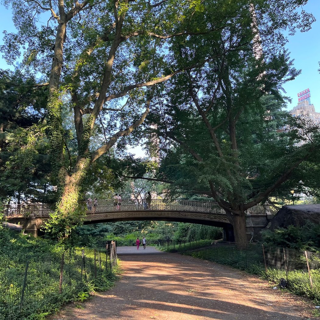 Pinebank Arch 1