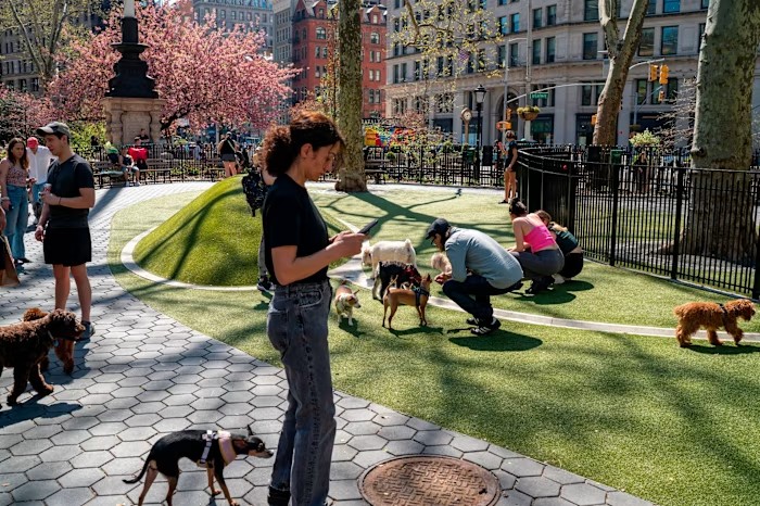 Jemmy's Dog Run 2