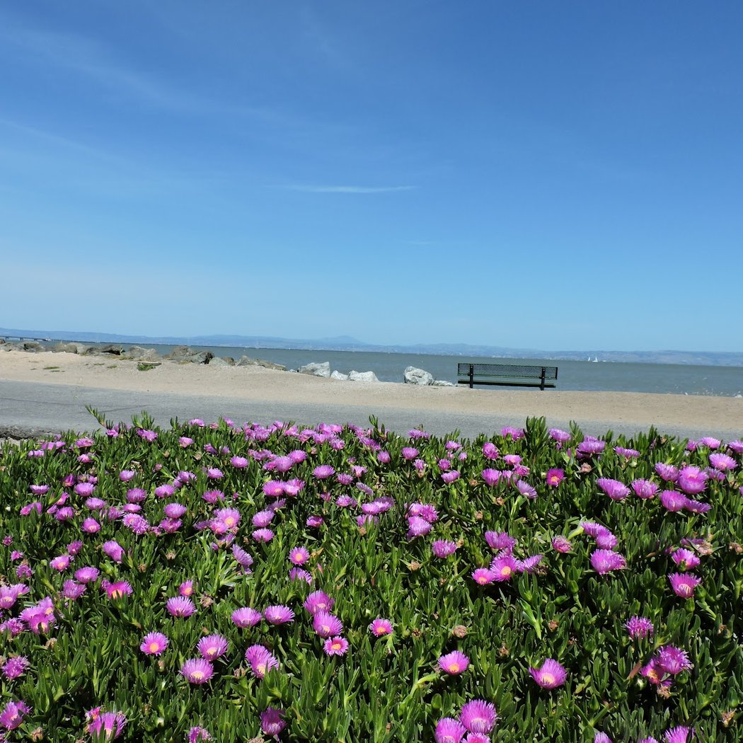 Killdeer Park 1