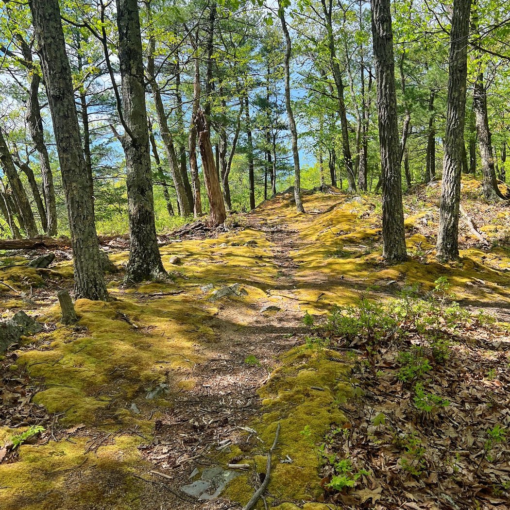 Wilson M. Powell Wildlife Sanctuary 3