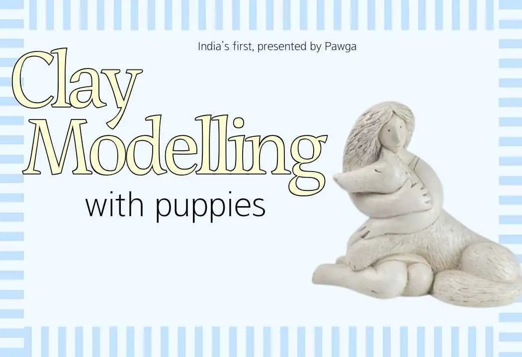 Clay Modelling with Puppies 1