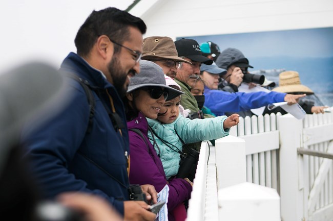 Gray Whale Ranger Program 2