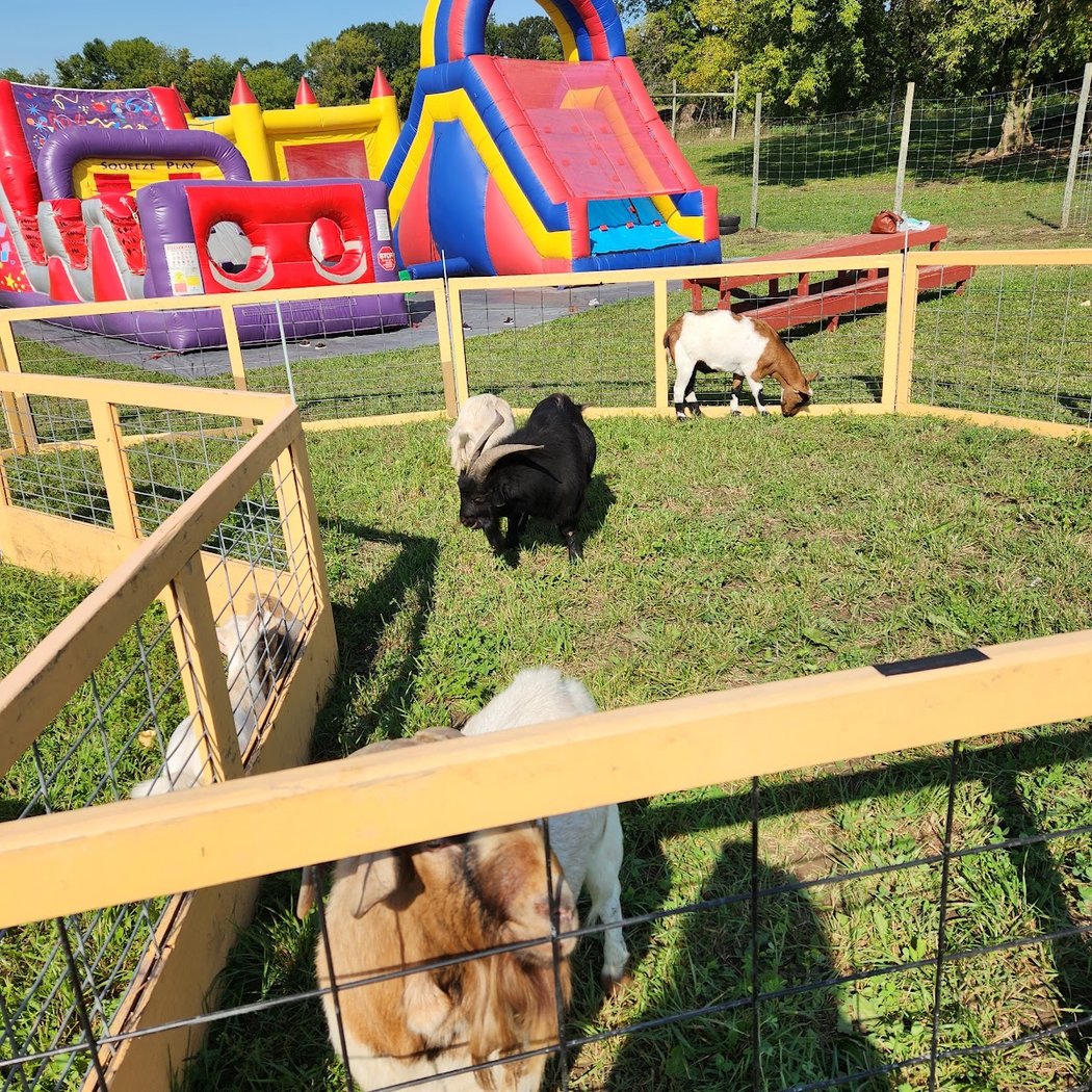 Fresh Acres Fall Festival 3