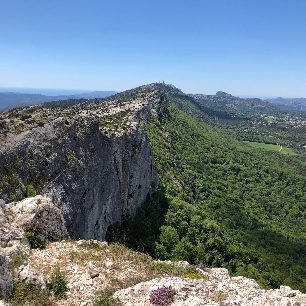 Forêt de la Sainte-Baume 1