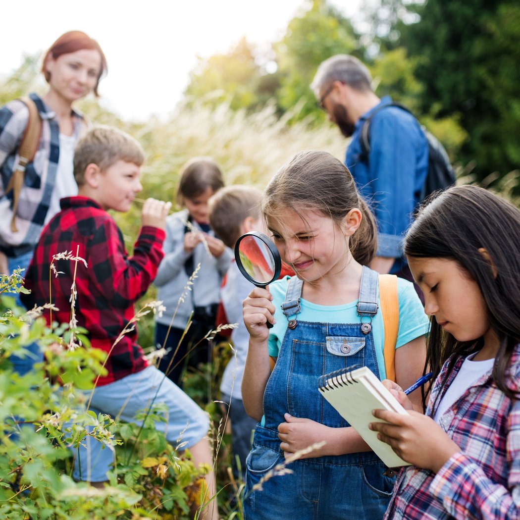 Eco-Eaters: Learn to Hunt Like a Scavenger 1
